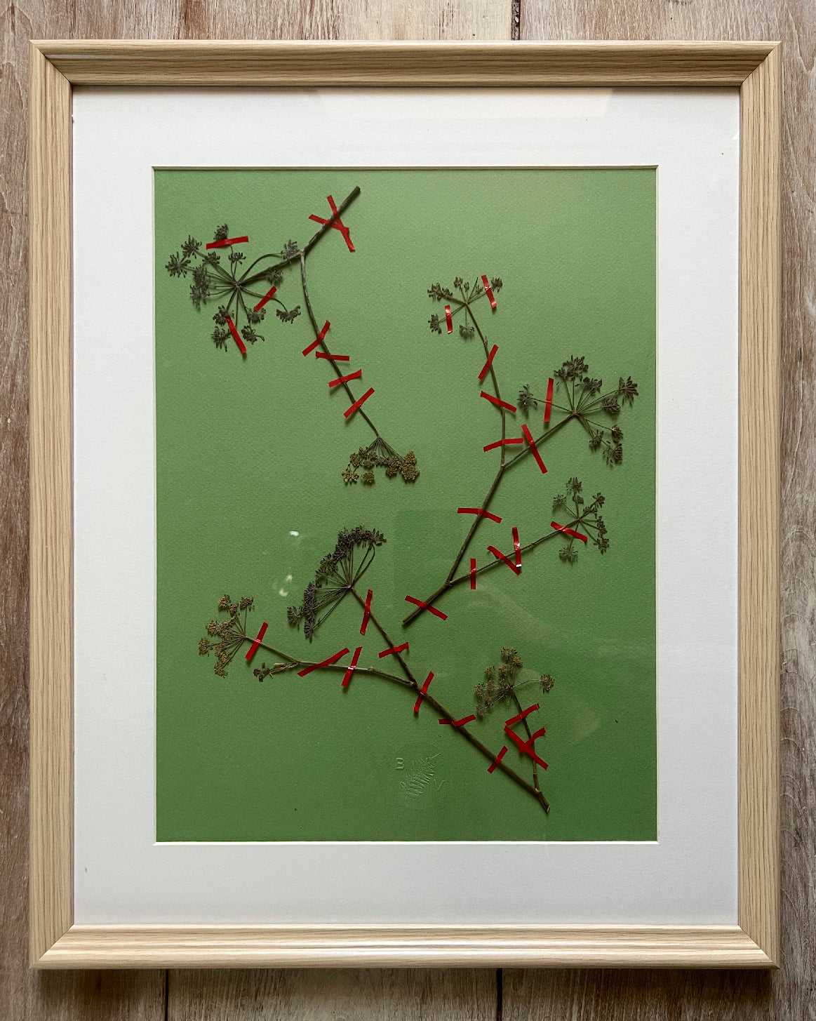Herbier 10