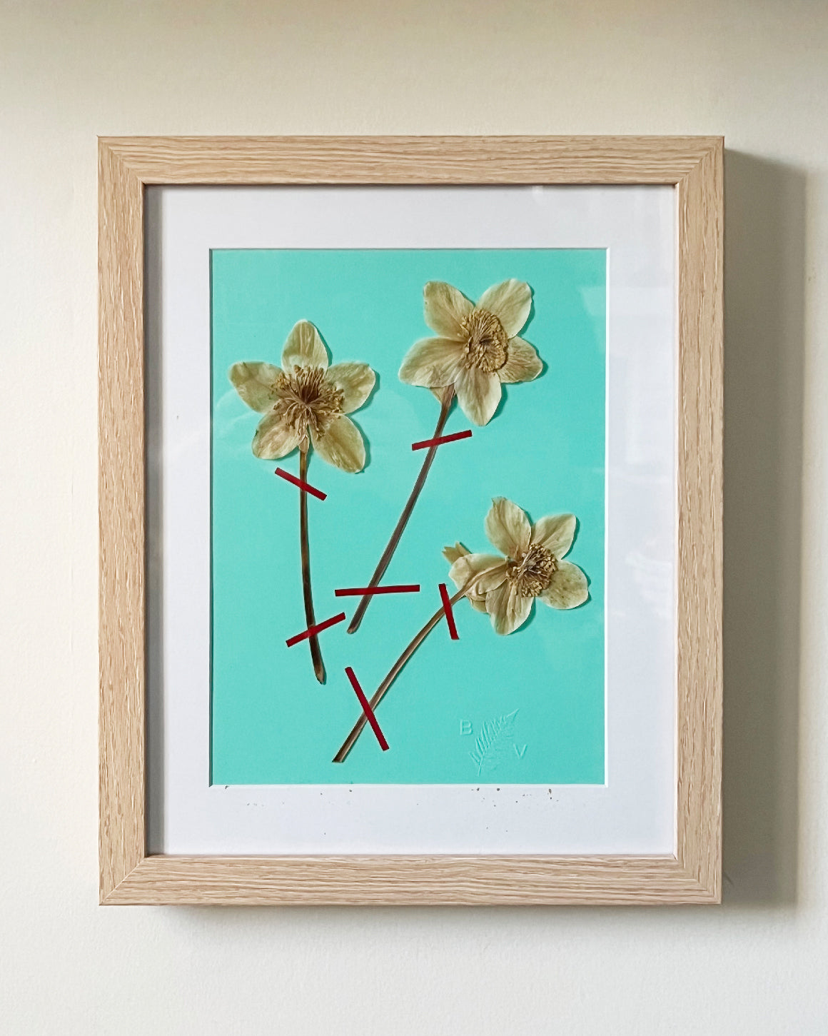 Herbier 1