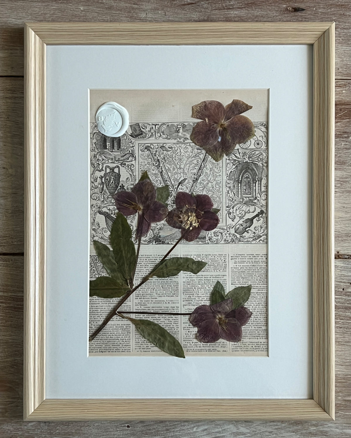 Herbier 3